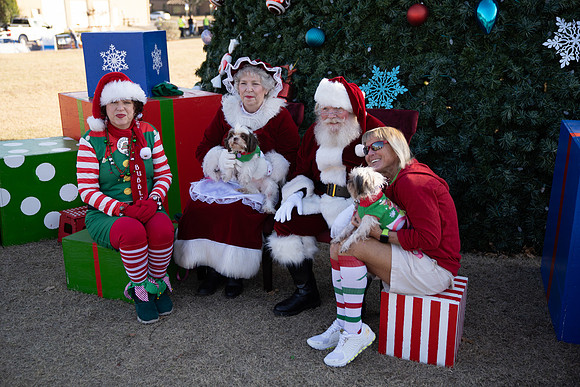 01308Bedford Tree-Pet 12-7-19